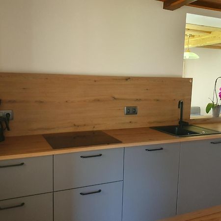 Haus Schraml Apartment กรุนเดิลเซ ภายนอก รูปภาพ